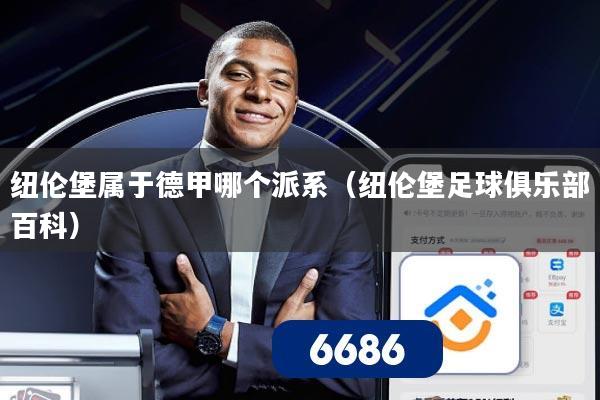 纽伦堡属于德甲哪个派系（纽伦堡足球俱乐部百科）